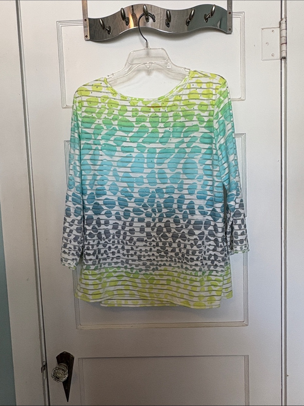 Ruby Rd. Women’s Ombre Animal-Print Boatneck Top in Green & Blue Size XL